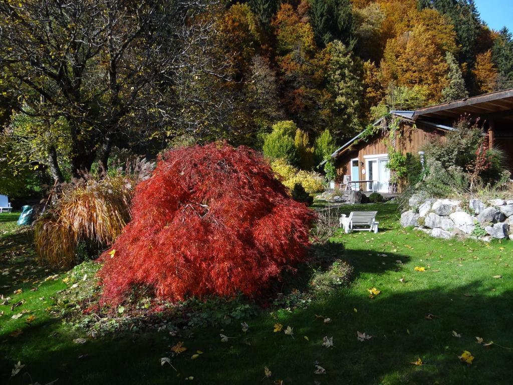 Gaestehaus Buehler Oberstdorf Bilik gambar